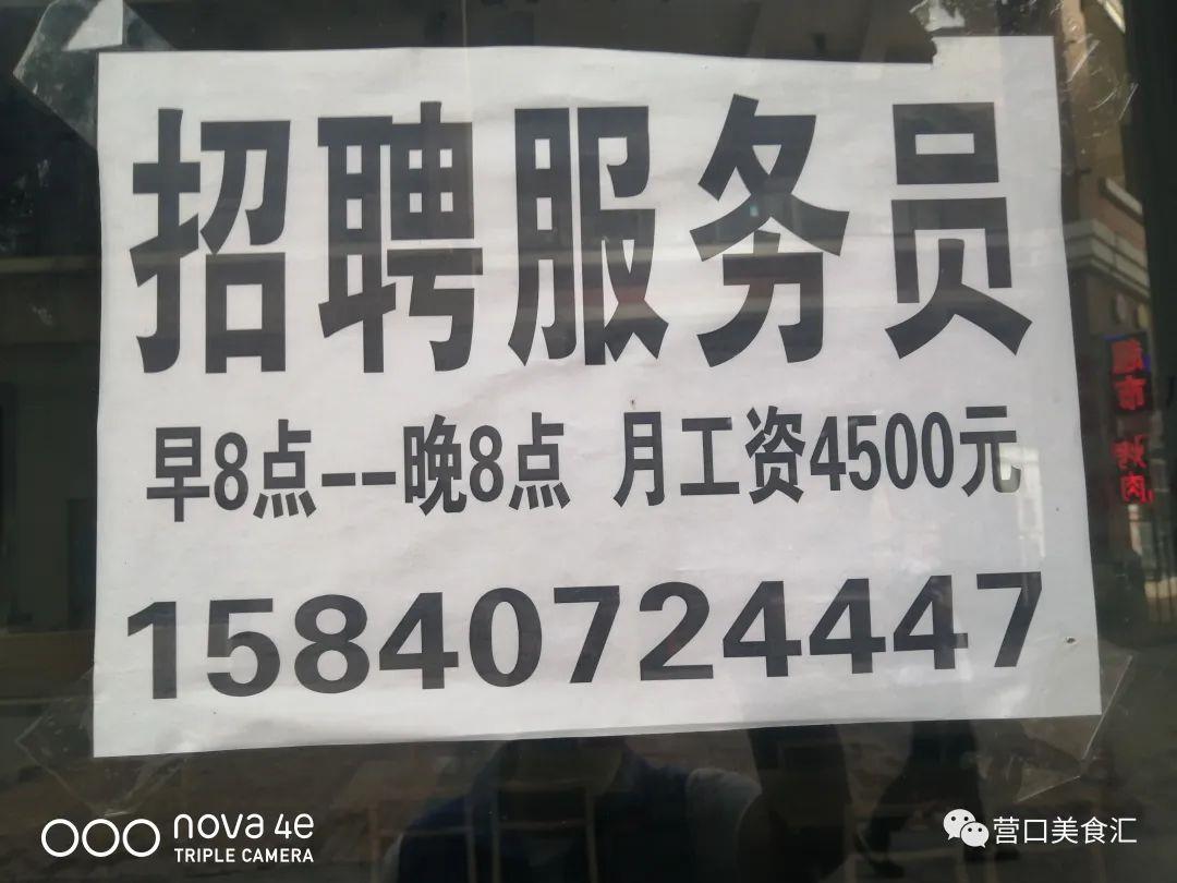 营口最新招聘网，连接人才与机遇的桥梁平台