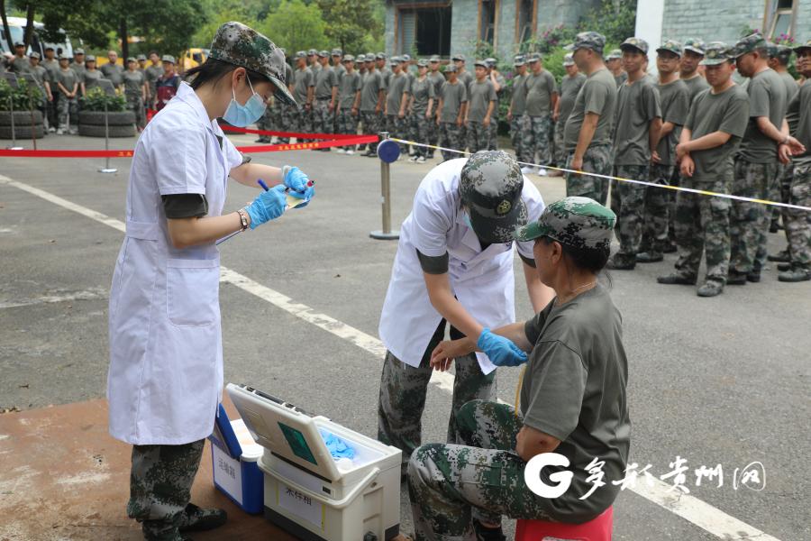 开阳县防疫检疫站最新项目进展报告，最新动态与成果概述