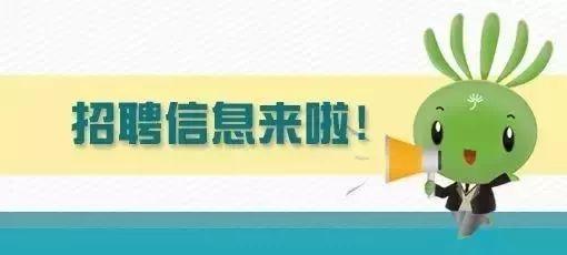 京开高速最新招聘启事，共筑未来之路，探寻人才加入