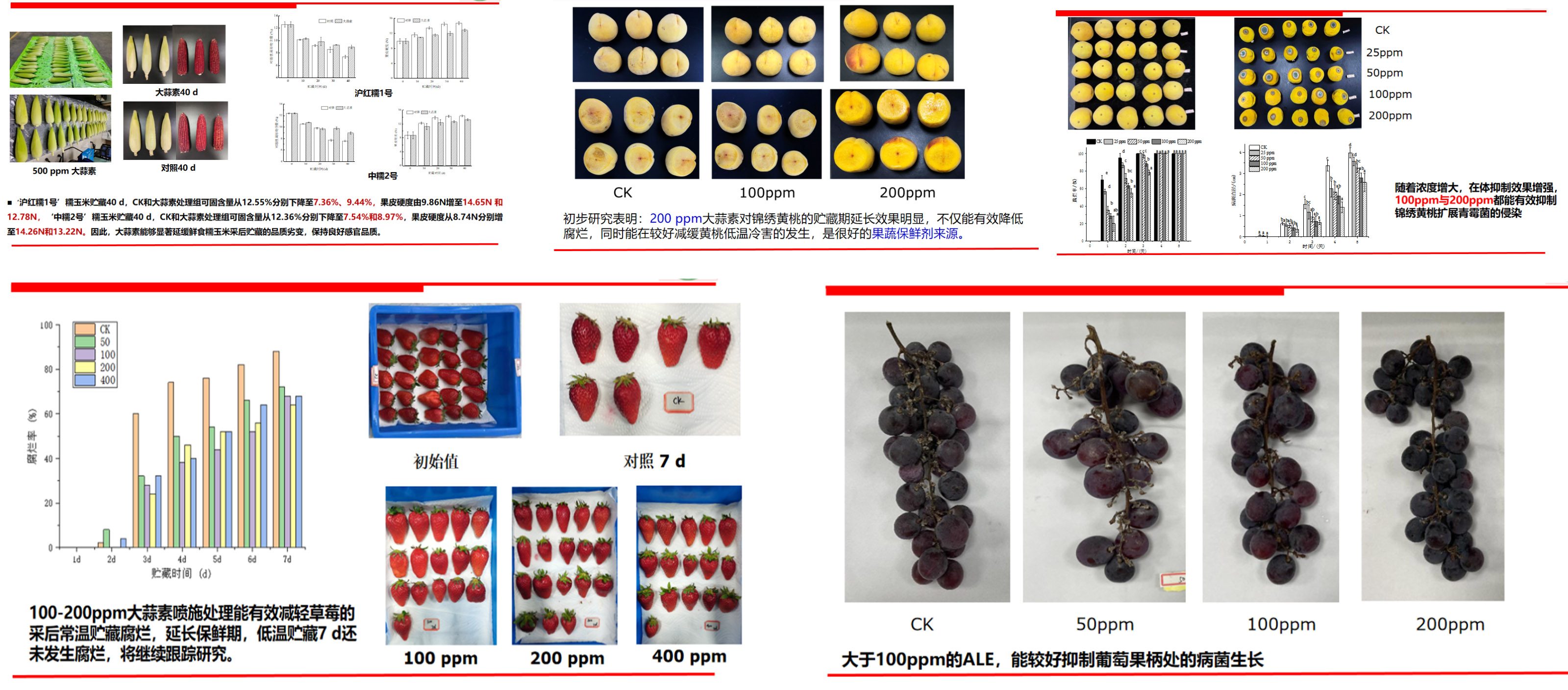 最新生物研究成果揭示生命科学新领域探索的突破进展